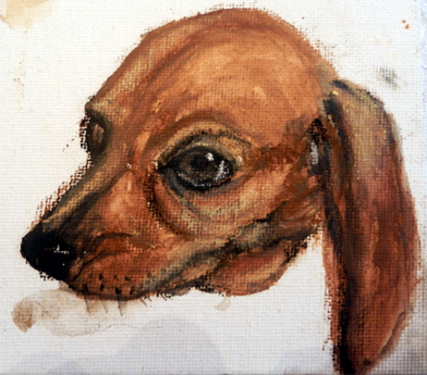 water-soluble pastel stick quick study dachshund pup
