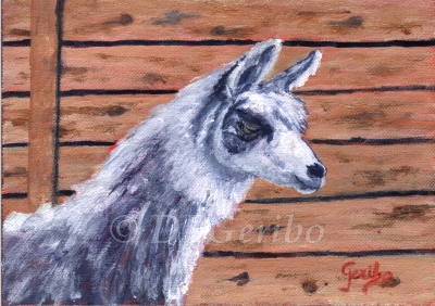 alpaca-painting-by-artist-dj-geribo.jpg