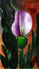 calming-calla-painting-by-artist-dj-geribo.jpg