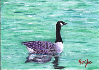 canadian-goose-gliding-painting-by-artist-dj-geribo.jpg
