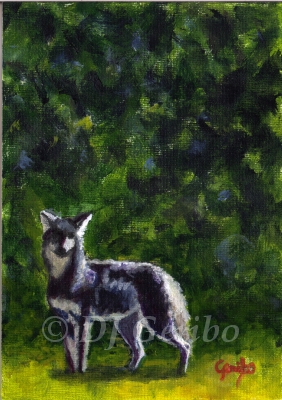 cool-coyote-painting-by-artist-dj-geribo.jpg