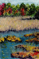 early-fall-marsh-painting-by-artist-dj-geribo.jpg