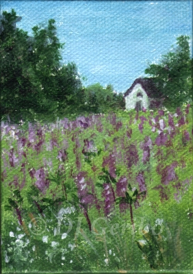 lupine-homestead-original-painting-by-artist-dj-geribo.jpg