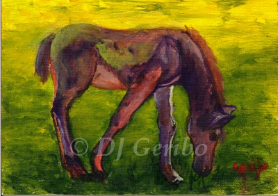 painted-pony-painting-by-artist-dj-geribo.jpg