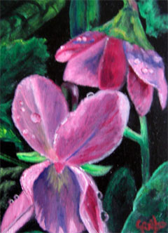 pink-orchid-painting-by-artist-dj-geribo.jpg
