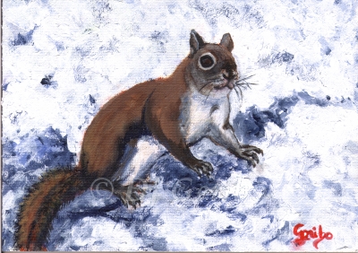 snow-squirrel-painting-by-artist-dj-geribo.jpg