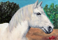 white-horse-painting-by-artist-dj-geribo.jpg