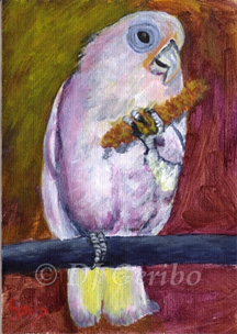 cockatoo-snacking-painting-by-artist-dj-geribo.jpg